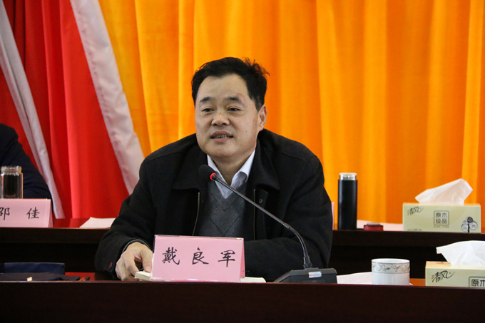 集團(tuán)黨委委員、副總經(jīng)理、總工程師戴良軍發(fā)表講話